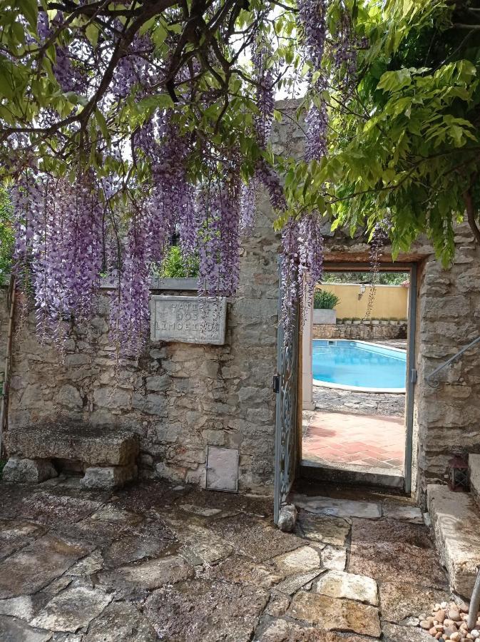 Appartement Casarao Do Largo Da Eira à Tomar Extérieur photo